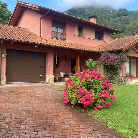 Casa Roja Villa Marron Kültér fotó